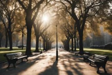 Where to Buy Souvenirs Near Tampa FL