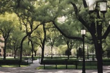 Best Coffee Shops in Port of Tampa Bay FL